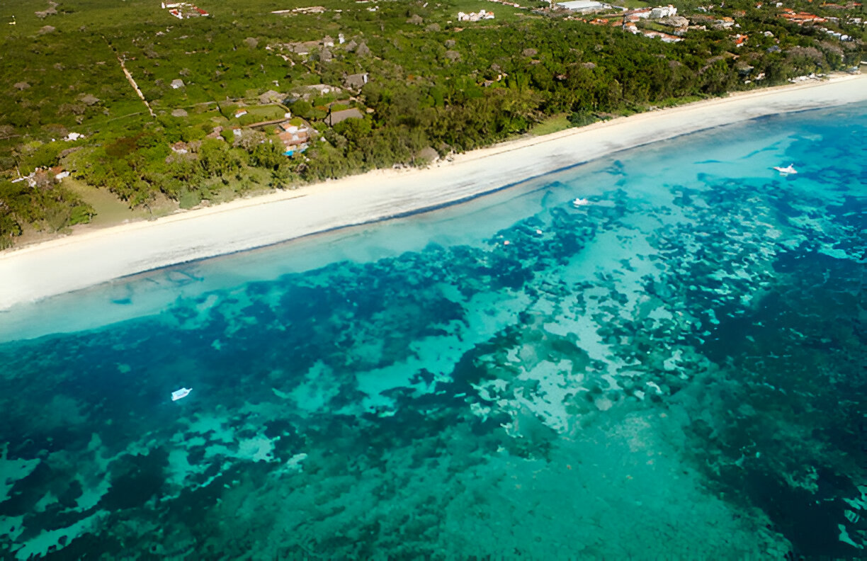 Palm Grove Diani